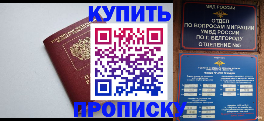 прописка регистрация в Моршанске